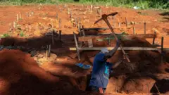 Owwaalcha Zimbaabwee