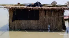 बाढ़ में डूबी झोपड़ी