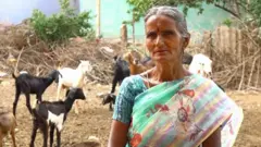கோவை தடாகம்