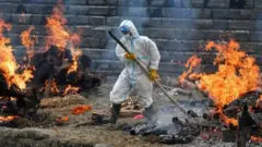 கொரோனா வைரஸ்