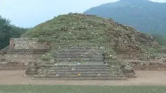 बौद्ध