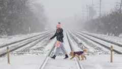 فتاة وكلبها وسط العاصفة