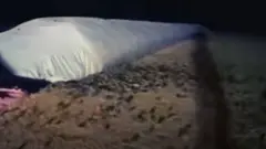 चूहे