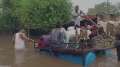 આણંદમાં વરસાદ
