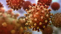 virus