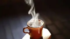 القهوة