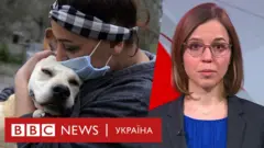 випуск новин