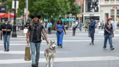 A man walks a dog