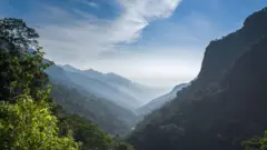 இந்திய காடுகள் பரப்பளவு குறித்த 2021-ஆம் ஆண்டின் அறிக்கை