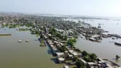 سېلابونه