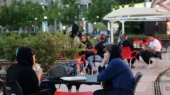 زنان در پارک