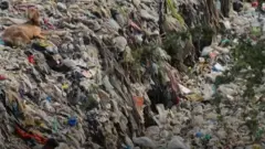 Wannan bidiyon ya yi nazari kan yadda ake sake sarrafa sharar roba da leda da kuma ganin ko hakan zai kasance mafita daga matsalar.