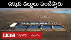 ప్రపంచంలోనే అతిపెద్ద ఈ క్రిప్టోమైన్‌లో ఏడాదిలో ప్రతీ క్షణం డబ్బులు పండిస్తారు