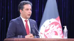 طالبانه، وحید عمر