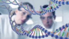 Dos científicos observa la doble hélice de ADN