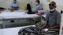 Эпидемия мукормикоза в Индии