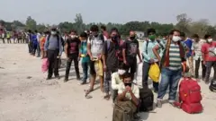 बाँके