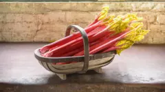 Стебли ревеня в корзинке.