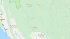 ပလက်ဝ