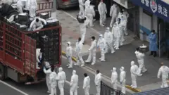 Koruma kıyafetleriyle gıda maddesi dağıtımına yardım eden işçiler