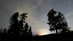 Сибір