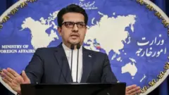 دولت ایران مفاد این سند را هنوز به طور رسمی و علنی منتشر نکرده است. اما سخنگوی وزارت خارجه می‌گوید "احساس می‌کنم سند به گونه‌ای است که در آینده به‌طور کامل منتشر شود".