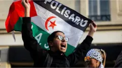 手持巴勒斯坦國旗的親巴勒斯坦人士