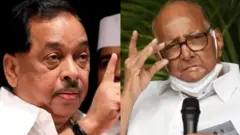 नारायण राणे शरद पवार