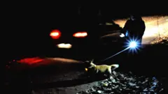 ніч і правила руху