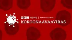 Koronaavaayirasii