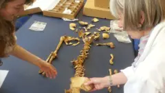 Científicos de la Universidad de Durham analizando restos óseos