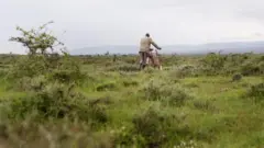 Mbara ala