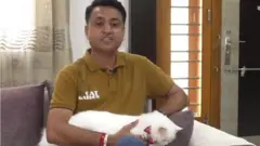 बिल्ली प्रेमी