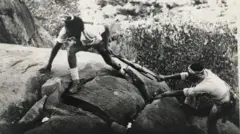 ተጋደልቲ