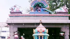 மயில்
