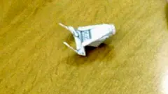 قورباغه کاغذی