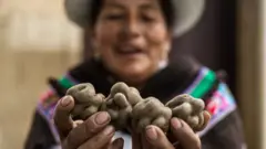 Las comunidades andinas todavía están muy ligadas a la papa.