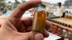 سانڈھے کا تیل
