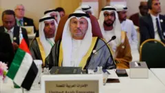 أنور قرقاش