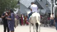 ਘੋੜਾ