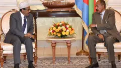 ፕረዚደንት ፈደራላዊ መንግስቲ ሶማልያ፡ መሓመድ ዓብዱላሂ 'ፋርማጆ' ምስ ኢሳይያስ ኣፈወርቂ