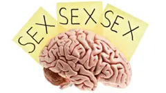 सतत सेक्स करण्याची सवय आजार आहे का?
