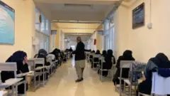 پوهنتون