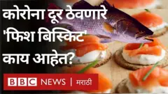 पंजाबच्या एका मत्स्य पालन कॉलेजमध्ये रोगप्रतिकारक शक्ती वाढवण्यासाठी प्रोटीन म्हणजे प्रथिनांचं भरपूर प्रमाण असलेली बिस्किटं तयार केली आहेत.