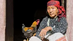 म्याग्दीमा कुखुराको छेउमा एक वृद्धा