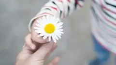 رحمدلی اور نرمی
