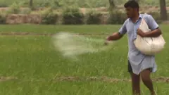 ਪੰਜਾਬ