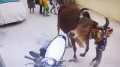 गुजरात