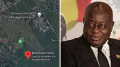 President Akufo-Addo