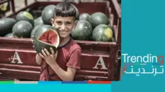 البطيخ